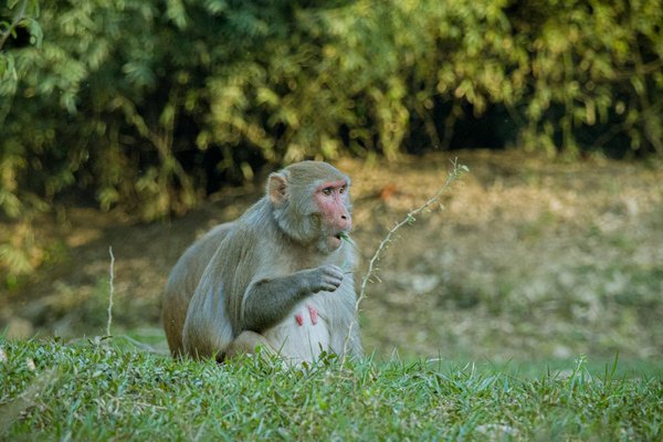 Les ruptures amoureuses des influenceurs : impact sur leur audience